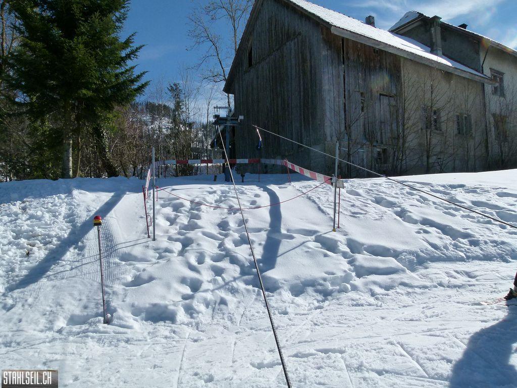 k-P1290894.JPG