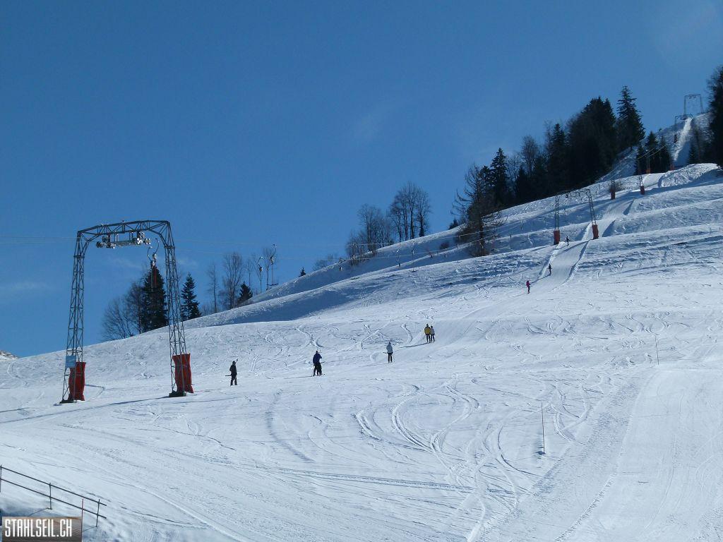 k-P1290935.JPG