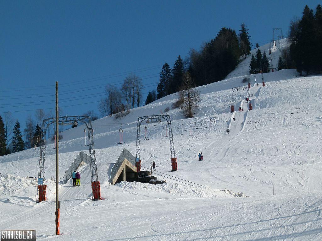 k-P1300172.JPG