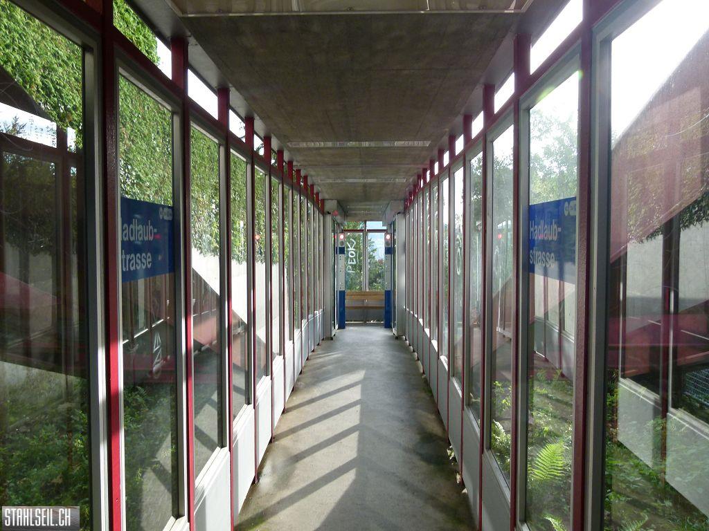 k-P1130901.JPG