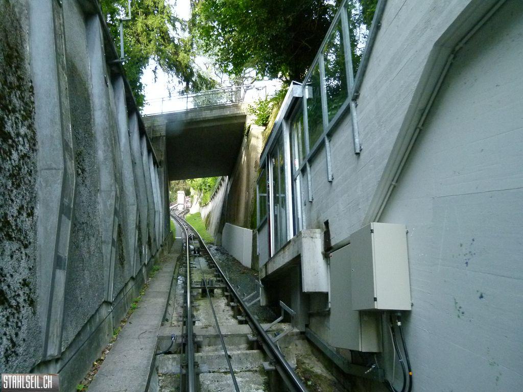 k-P1130944.JPG