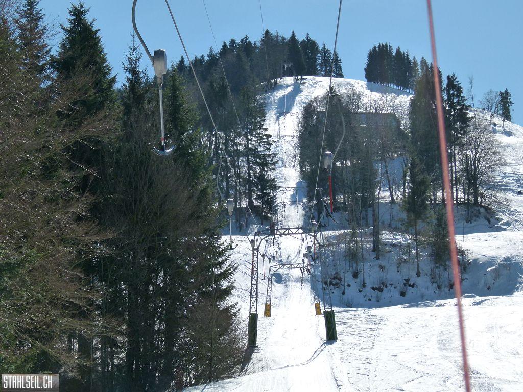 k-P1290949.JPG