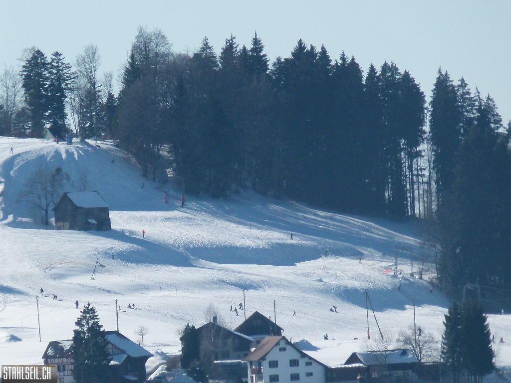 k-P1300081.JPG