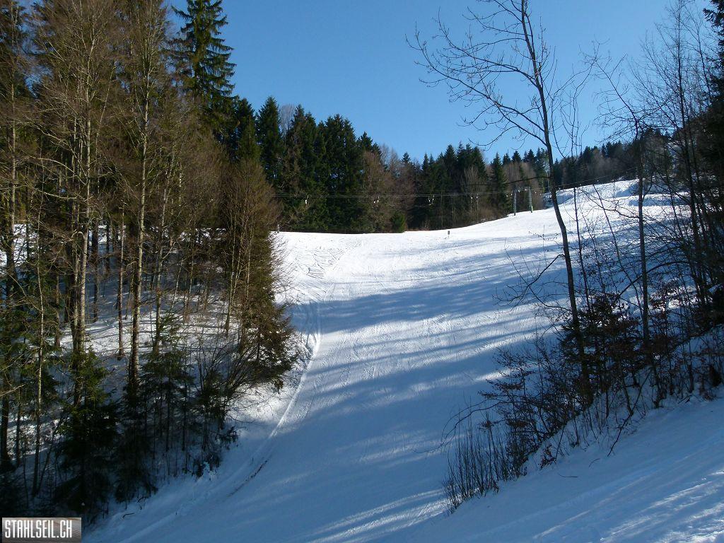 k-P1300091.JPG