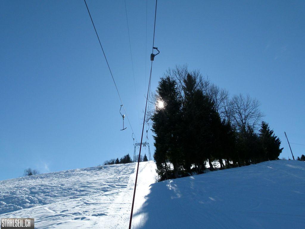 k-P1290959.JPG