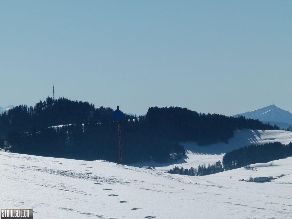 k-P1300043.JPG