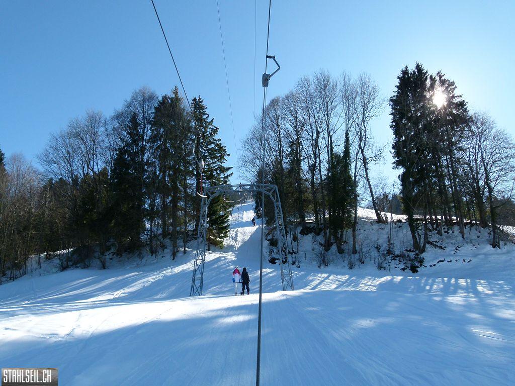 k-P1300060.JPG