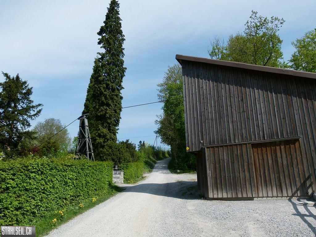 k-P1100209.JPG
