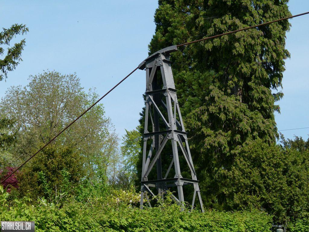 k-P1100210.JPG
