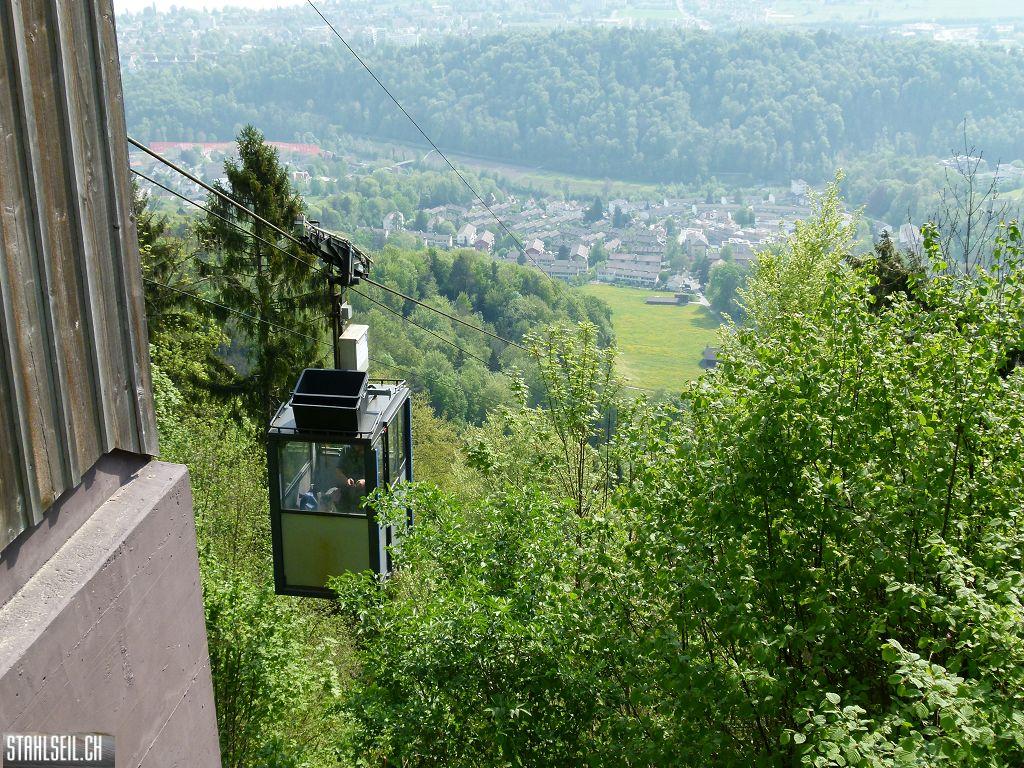 k-P1100219.JPG