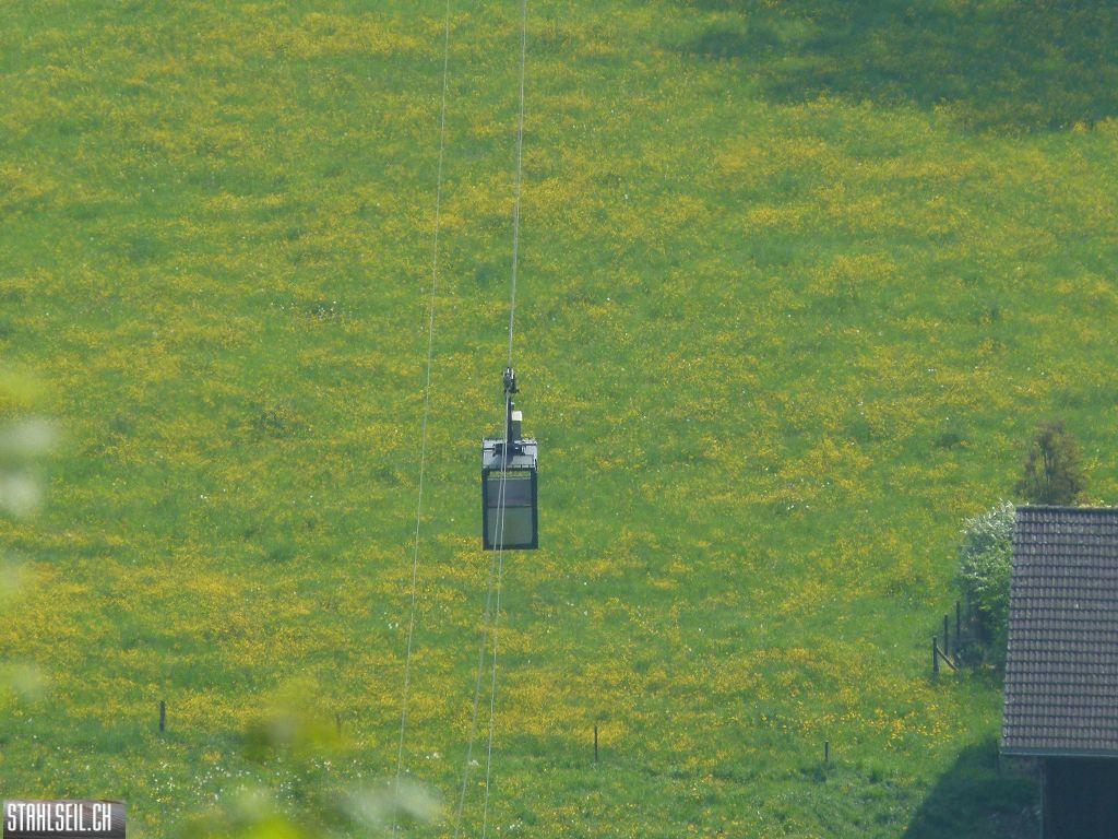 k-P1100229.JPG