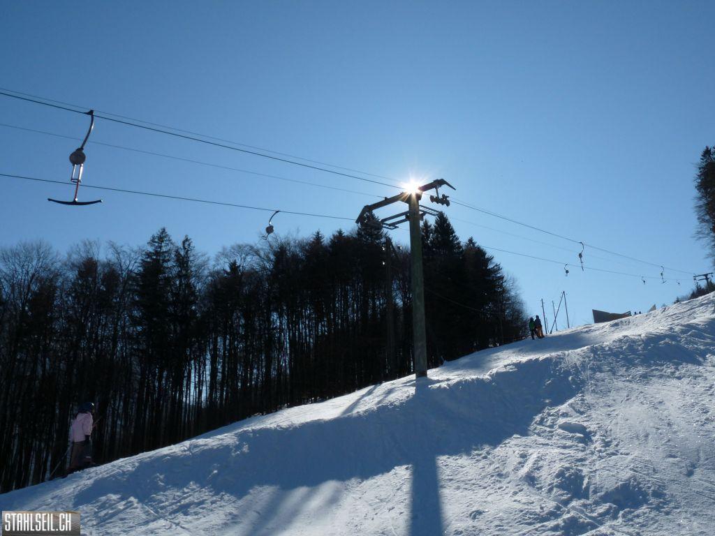 k-P1300650.JPG