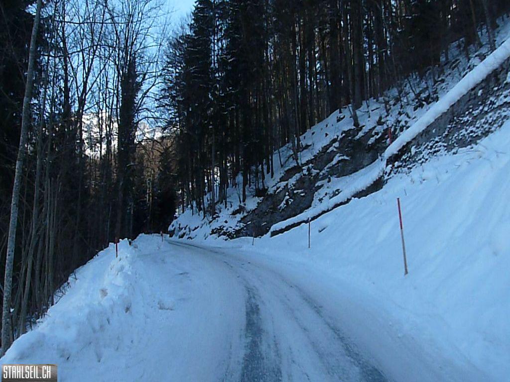 k-P1300653.JPG