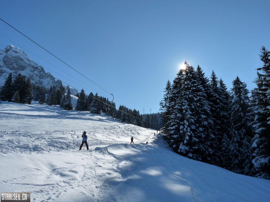 k-P1300686.JPG