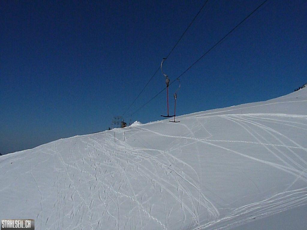 k-P1300843.JPG