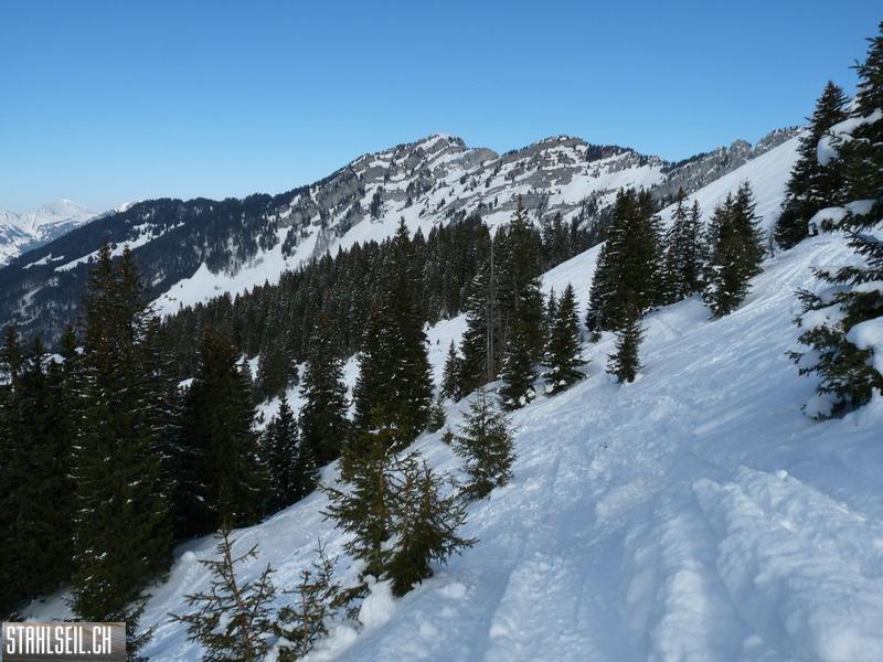 k-P1300867.JPG