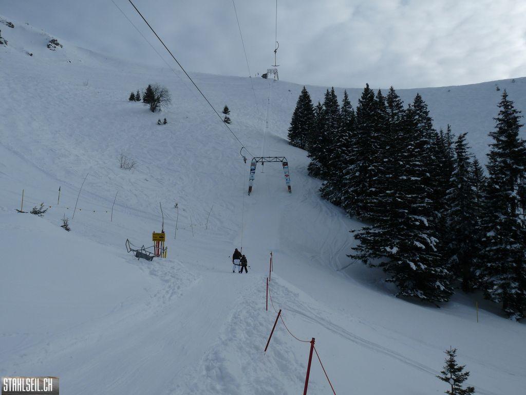 k-P1300884.JPG