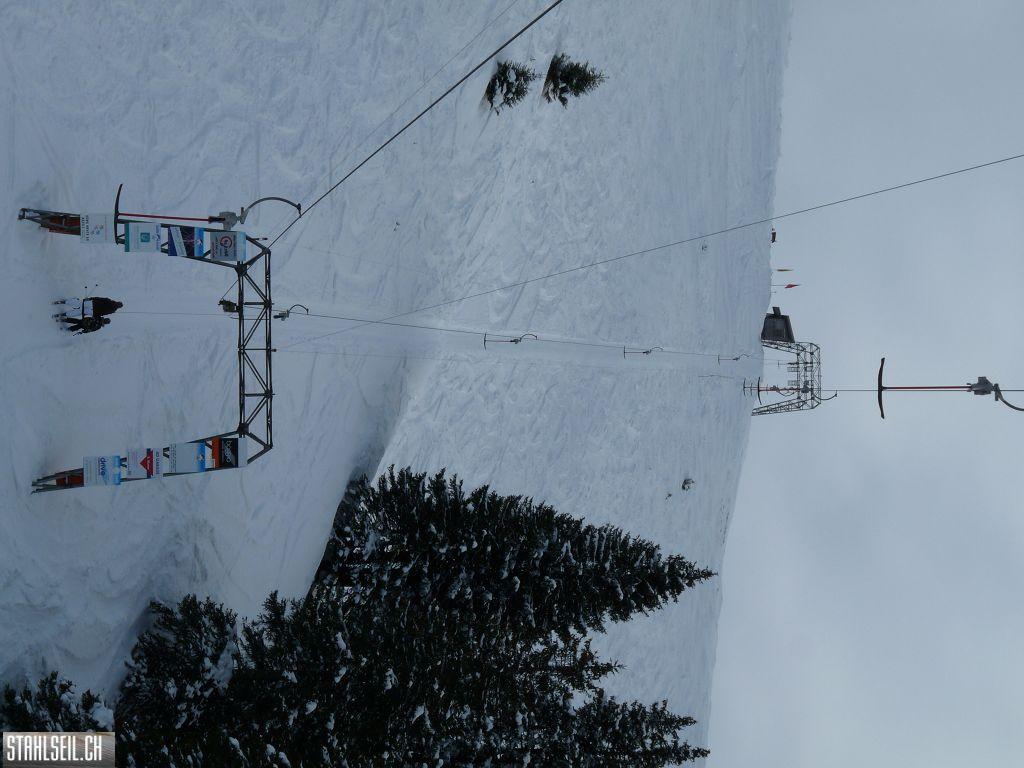 k-P1300886.JPG