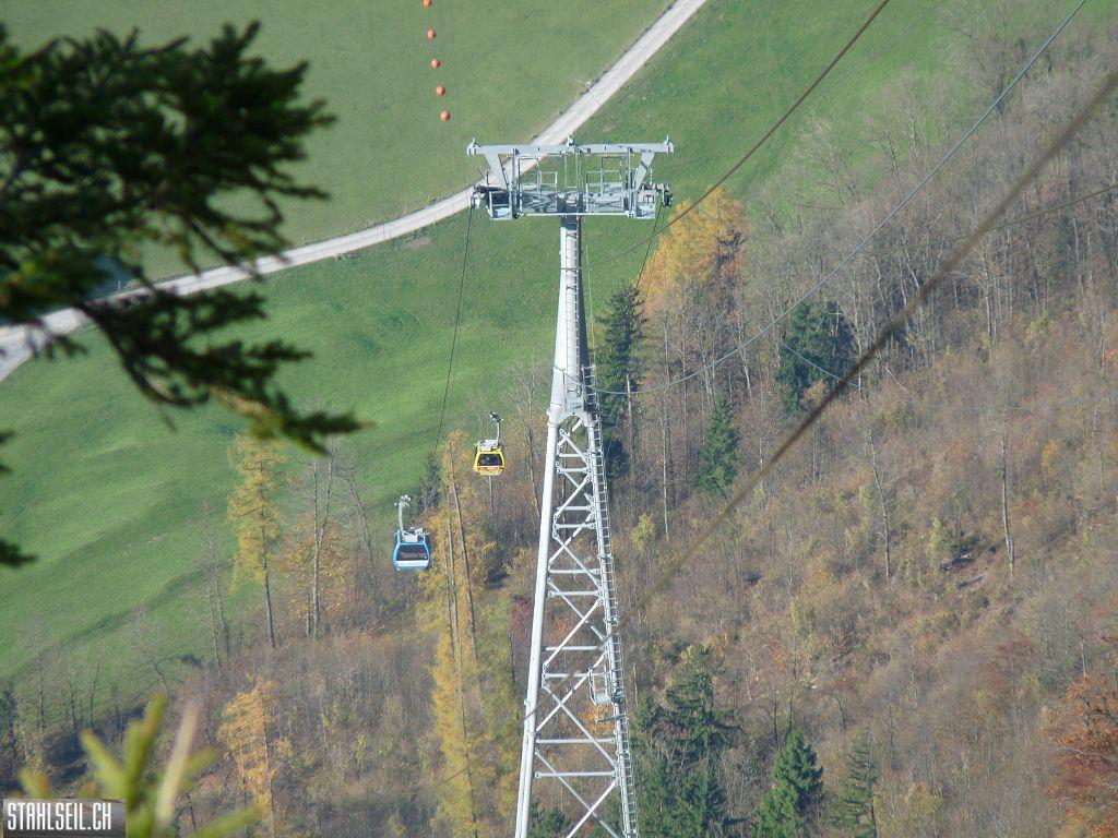k-P1500274.JPG
