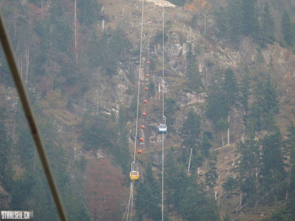 k-P1500479.JPG
