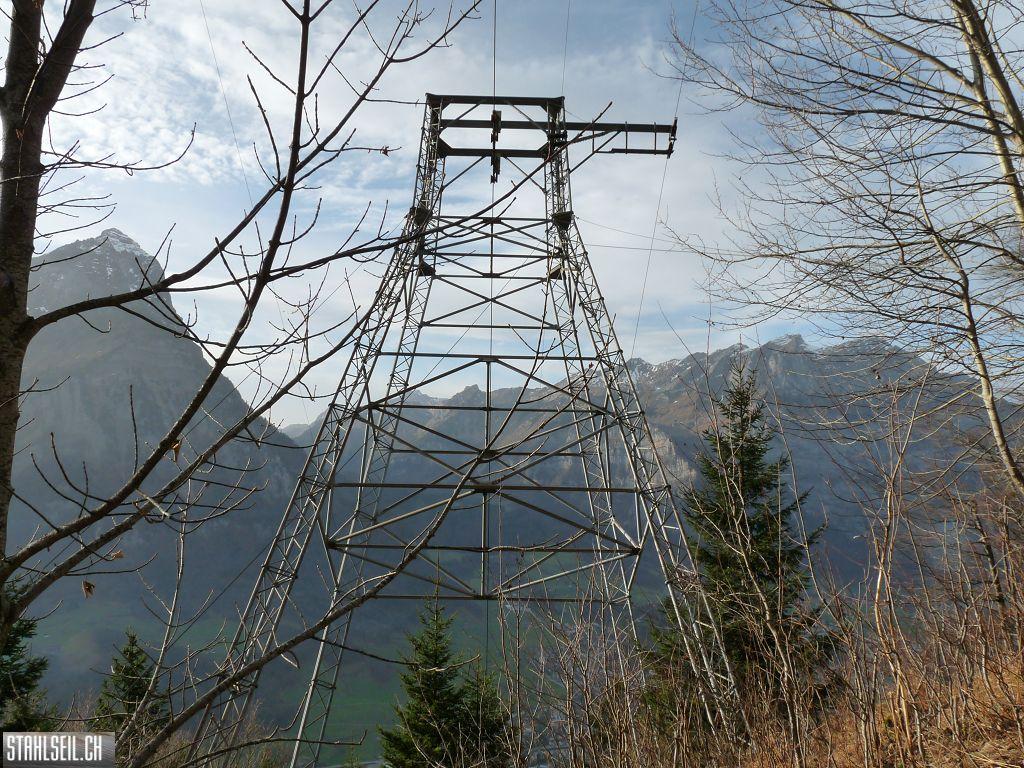 k-P1230280.JPG