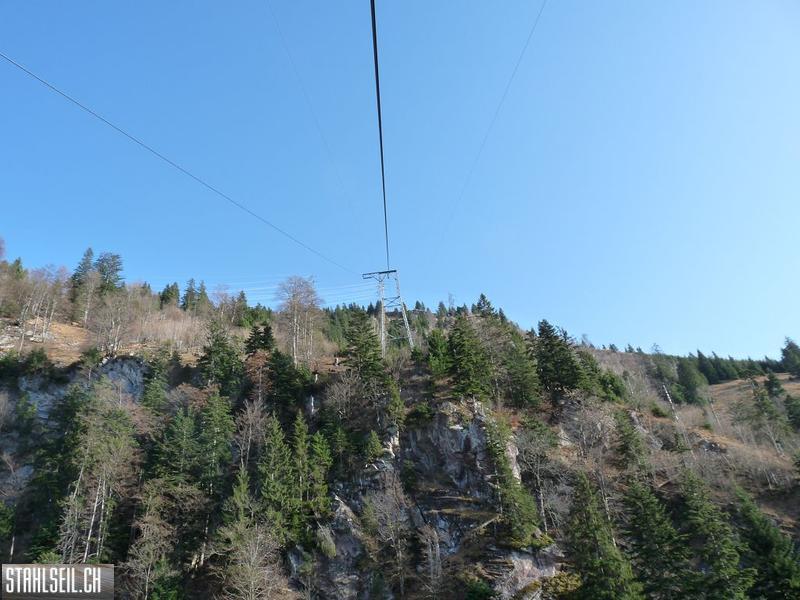 k-P1230223.JPG