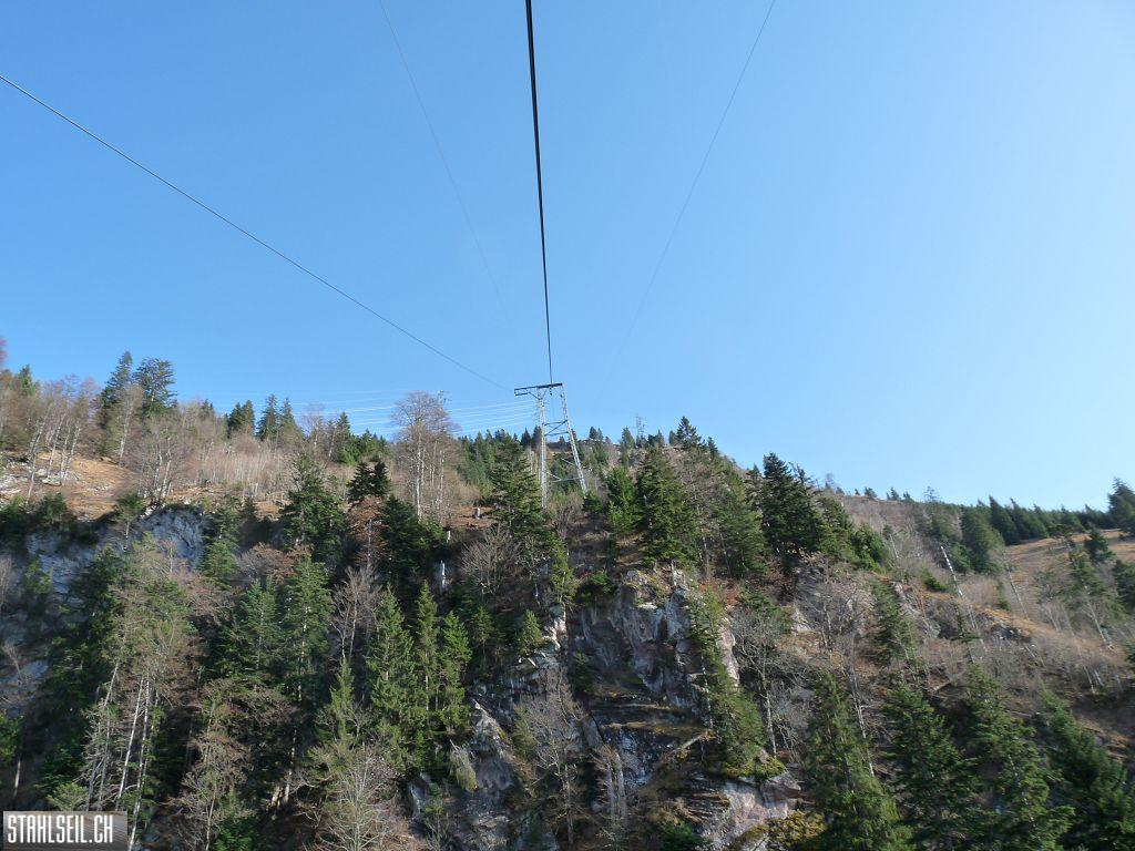 k-P1230223.JPG