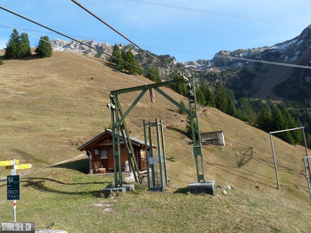 k-P1230234.JPG