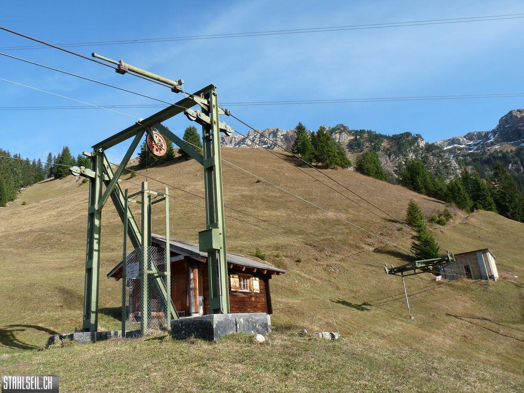 k-P1230236.JPG