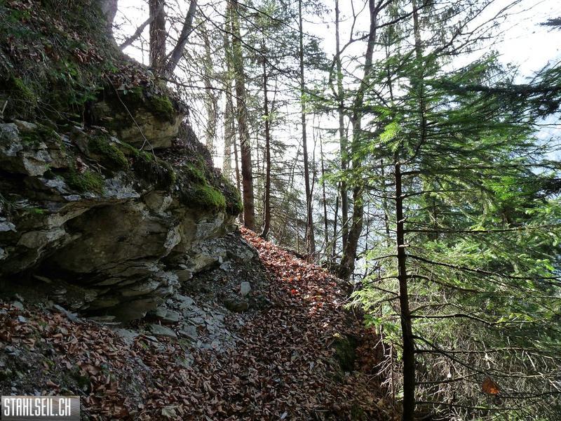 k-P1230249.JPG