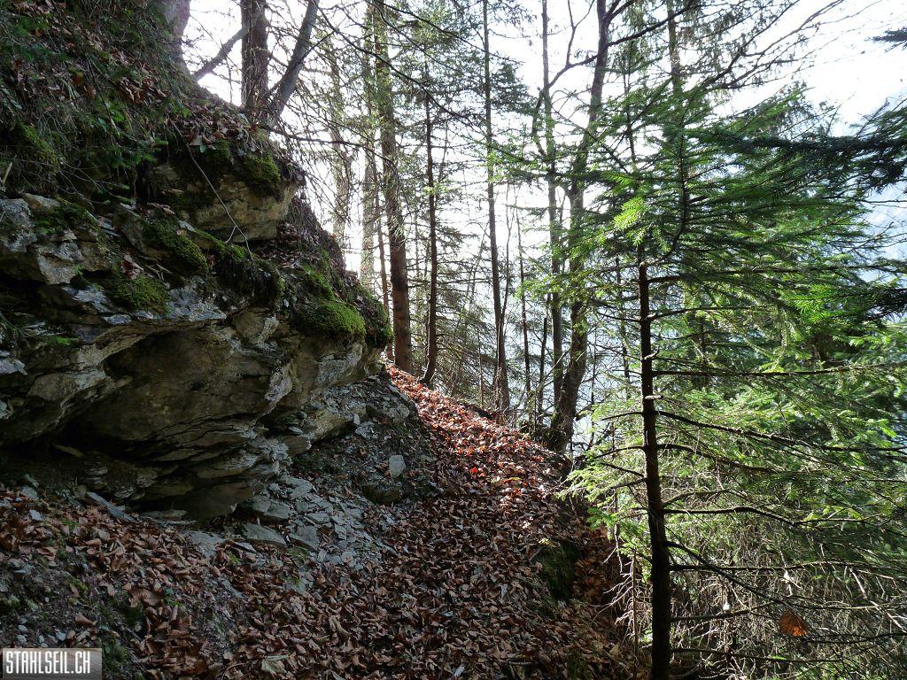 k-P1230249.JPG