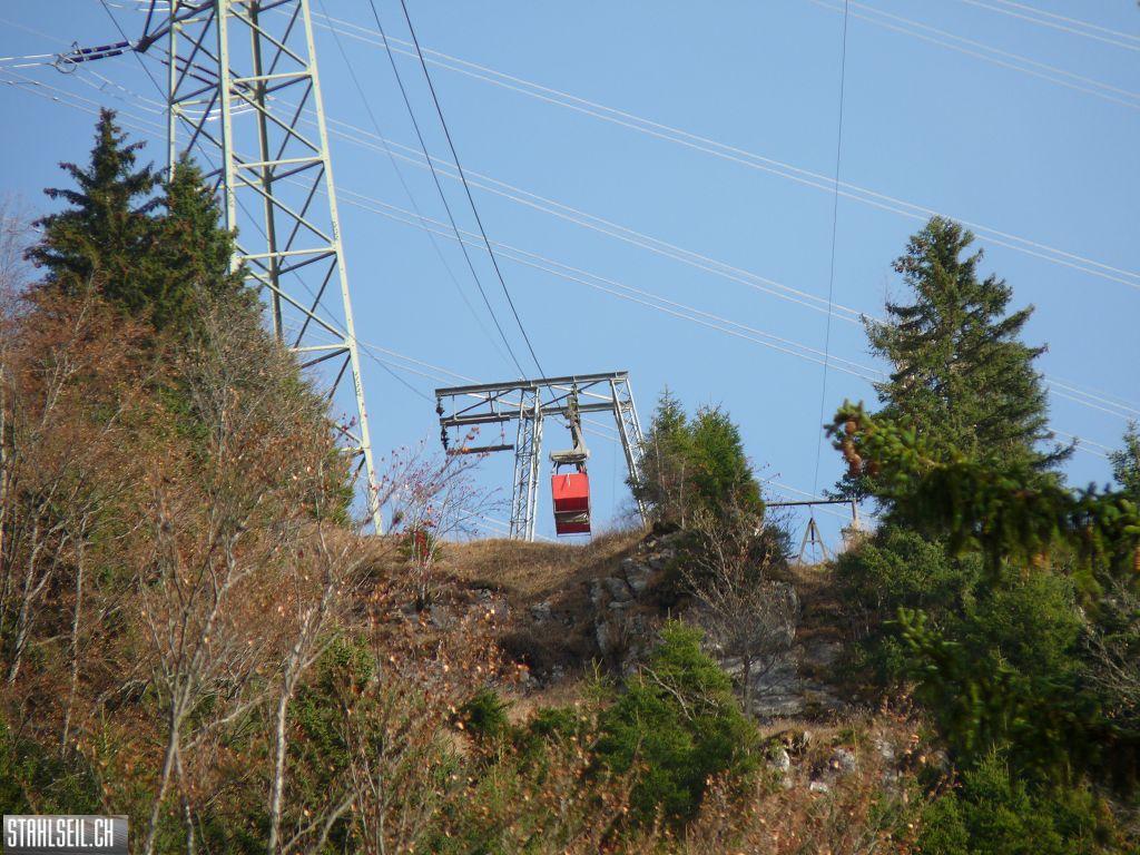 k-P1230279.JPG