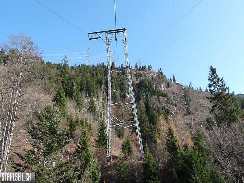 k-P1230224.JPG