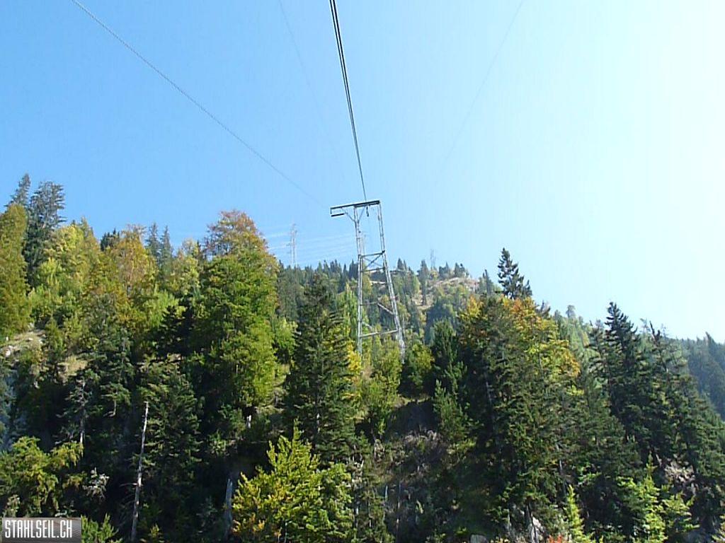 k-P1220491.JPG