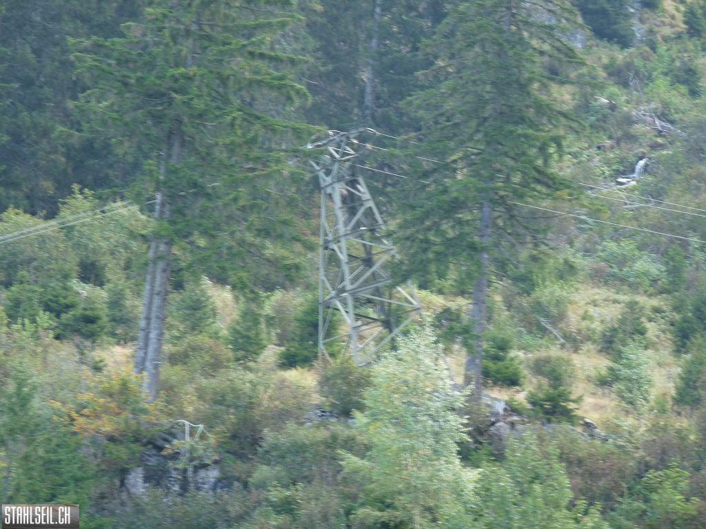 k-P1210548.JPG