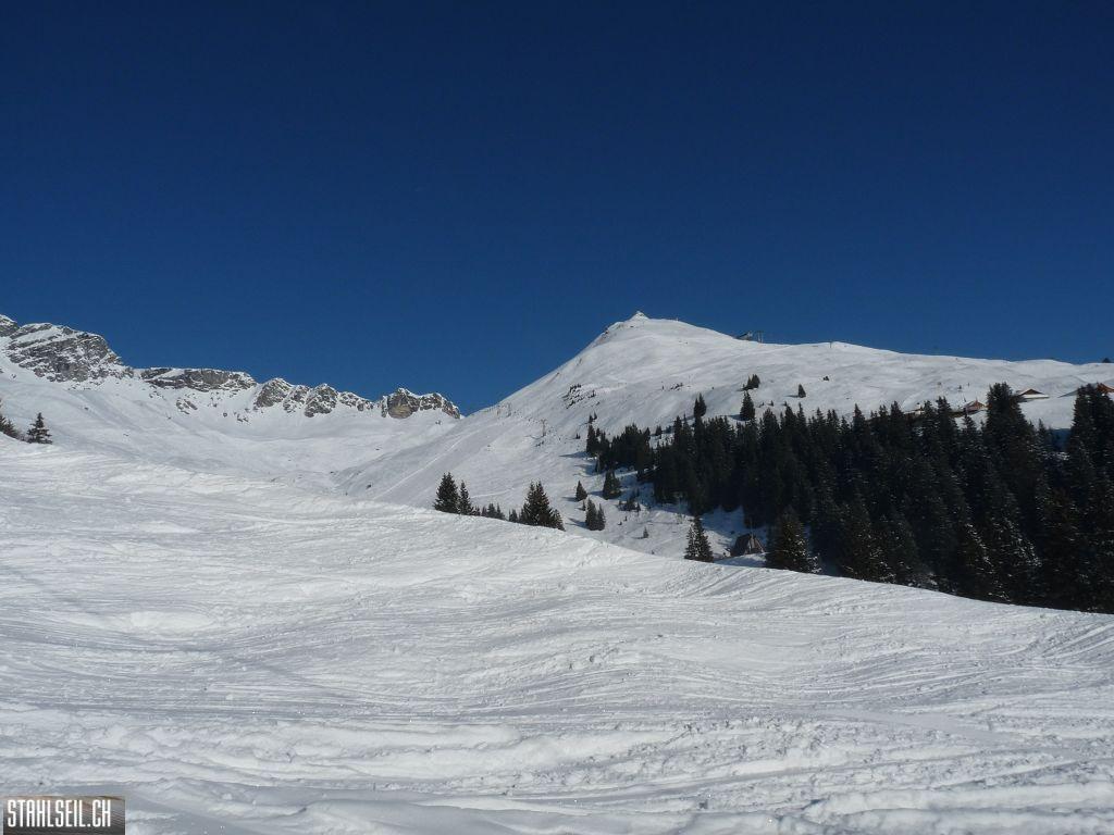 k-P1290836.JPG