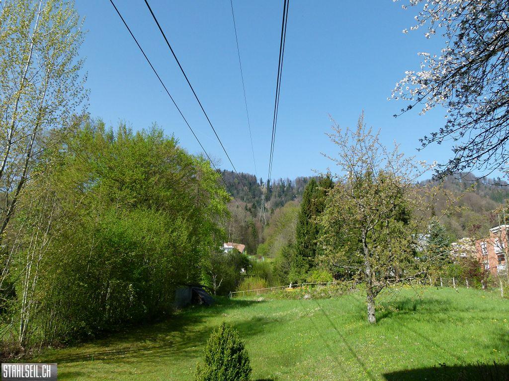 k-P1330478.JPG