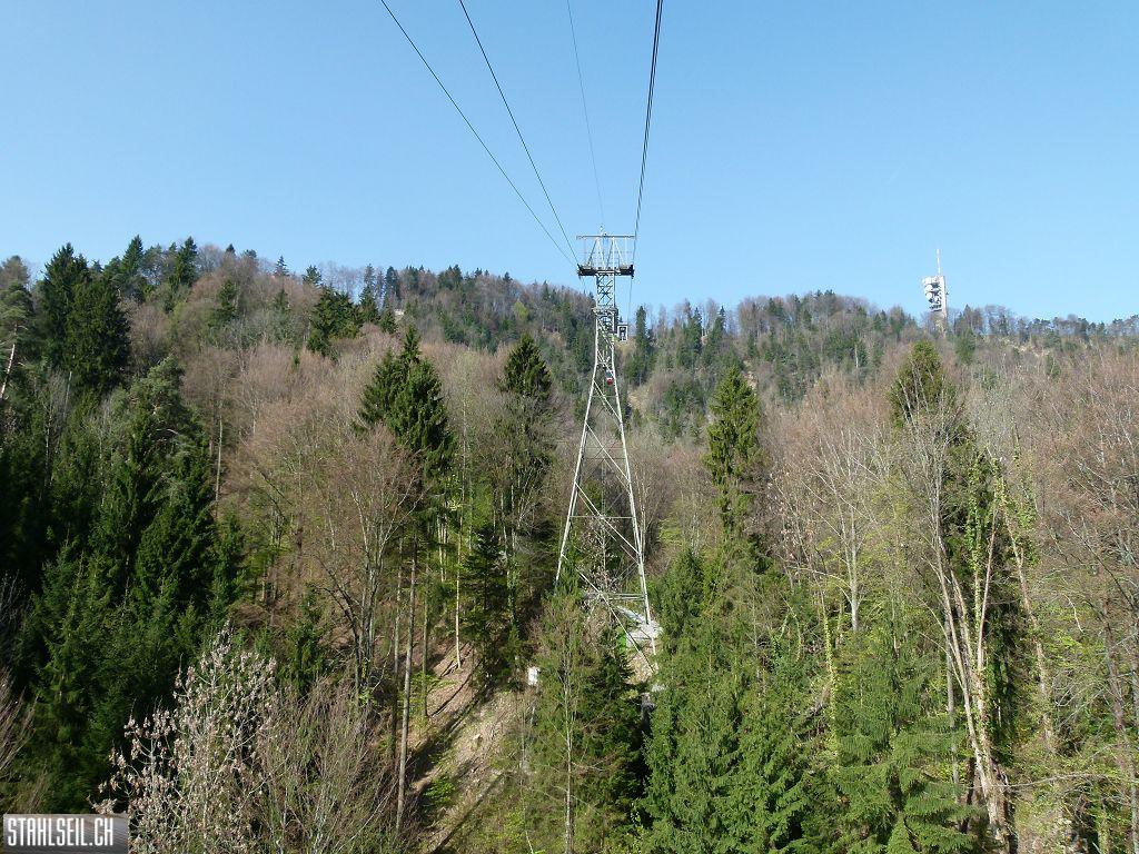 k-P1330481.JPG