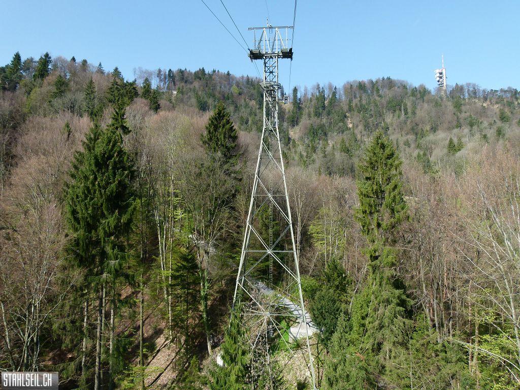 k-P1330482.JPG