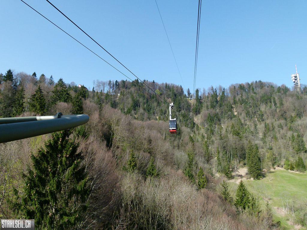 k-P1330485.JPG