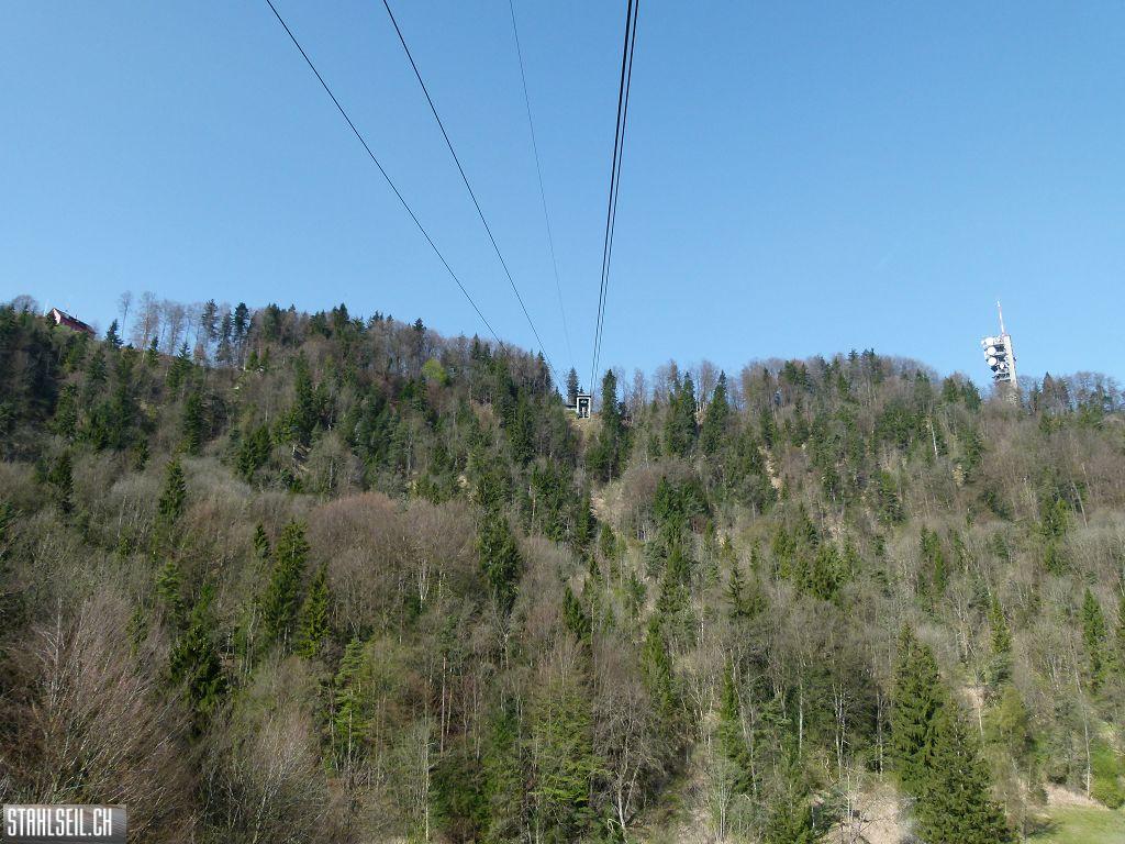 k-P1330487.JPG