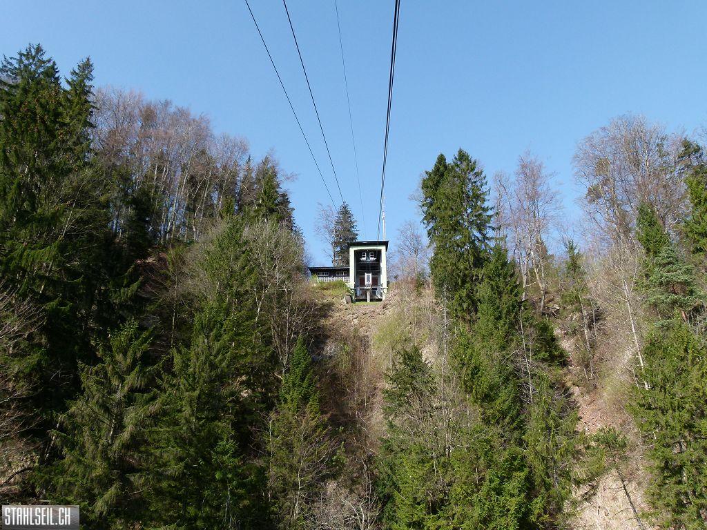 k-P1330488.JPG