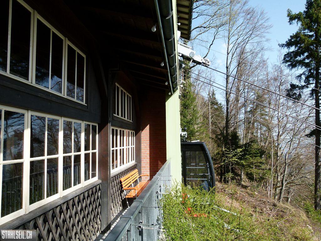 k-P1330531.JPG
