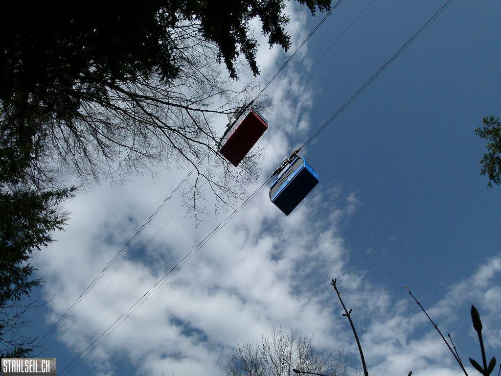 k-P1330549.JPG