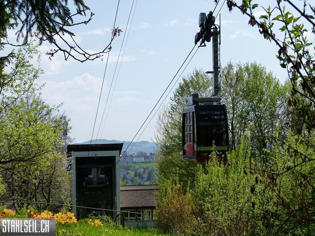 k-P1330571.JPG