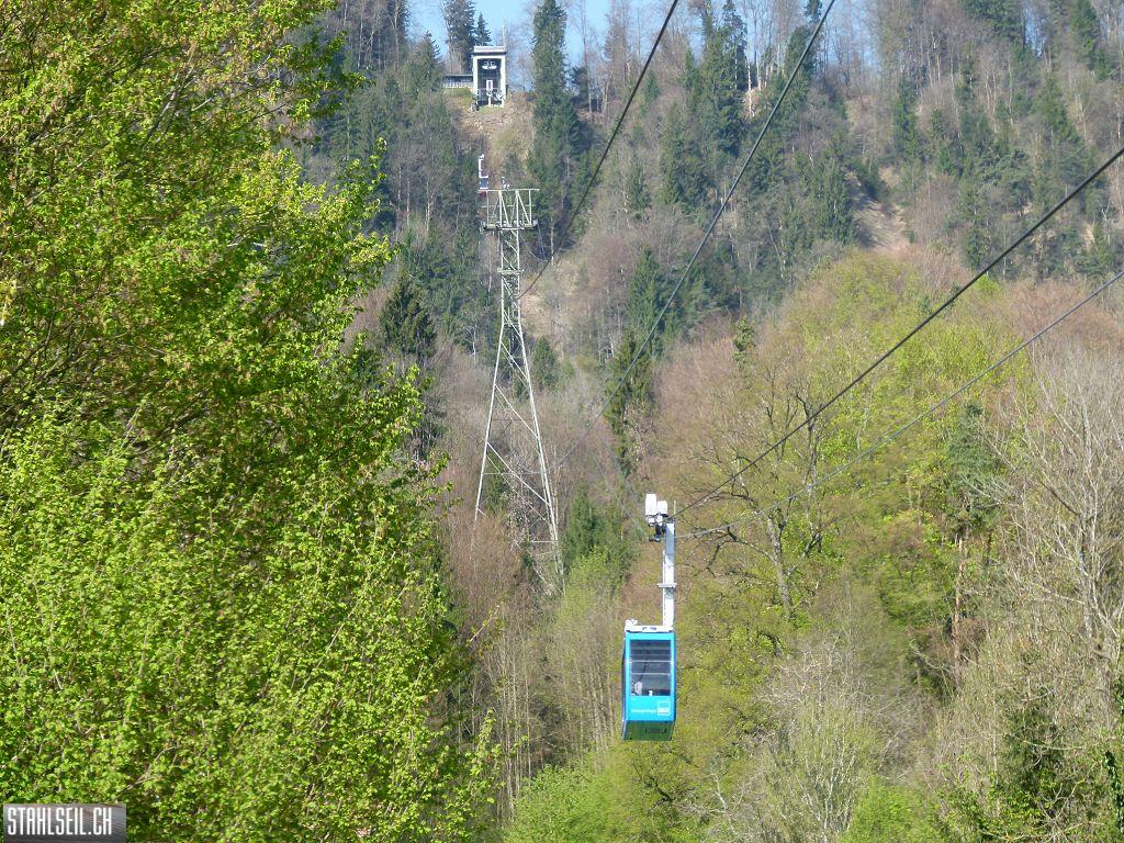 k-P1330471.JPG