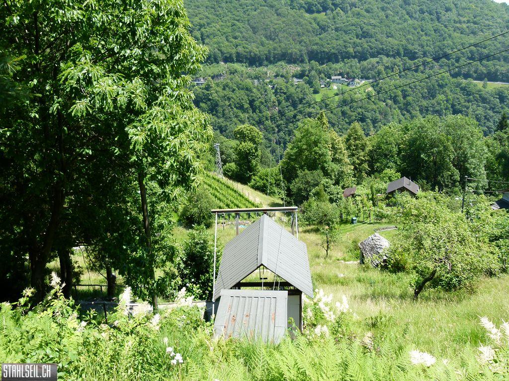 k-P1360015.JPG
