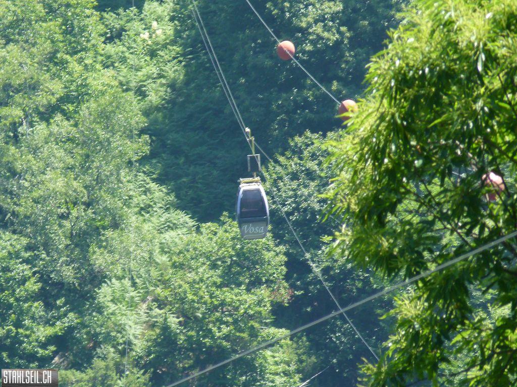 k-P1350921.JPG