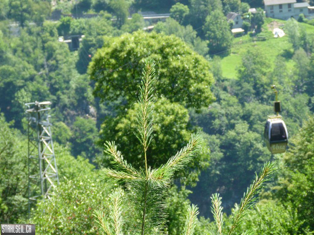 k-P1350926.JPG