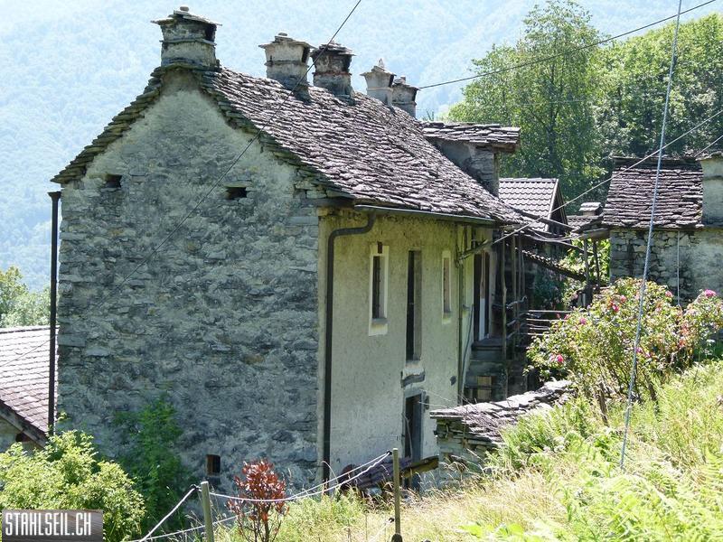 k-P1350938.JPG